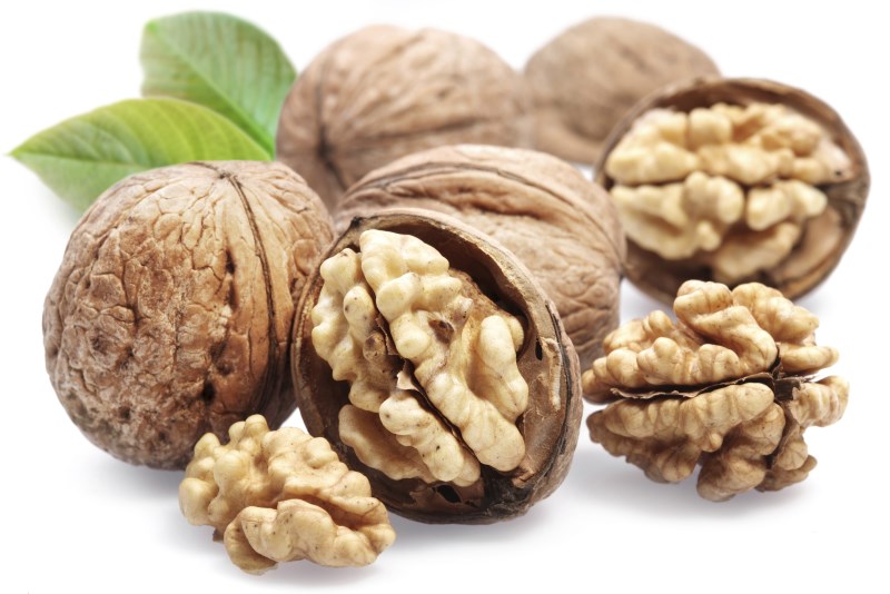 Vlašský ořech: symbol chytrosti i zdraví